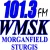 101.3 FM WMSK