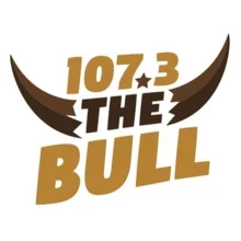 107.3 The Bull