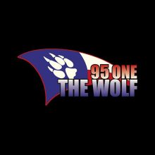 95 One The Wolf