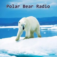 Polar Bear Radio