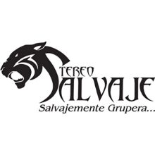 Stereo Salvaje
