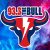 93.3 The Bull