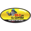 95.3 The Gorilla