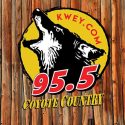 95.5 The Coyote