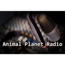 Animal Planet Radio